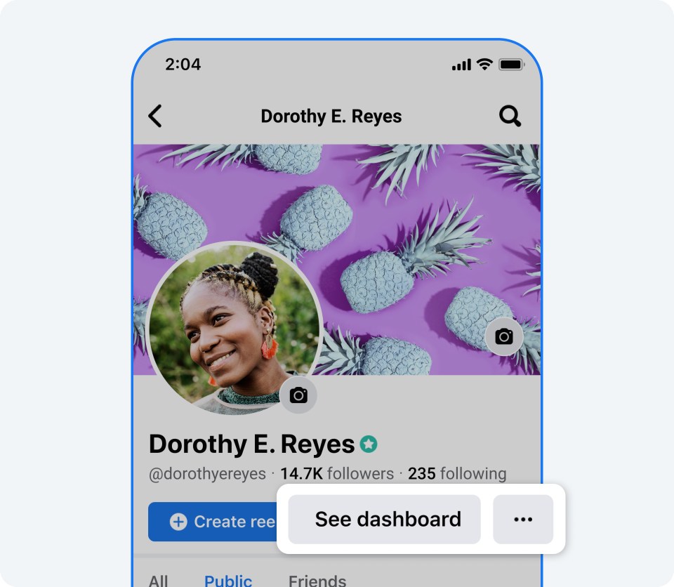 Product mock of Professional Dashboard on Faccebook